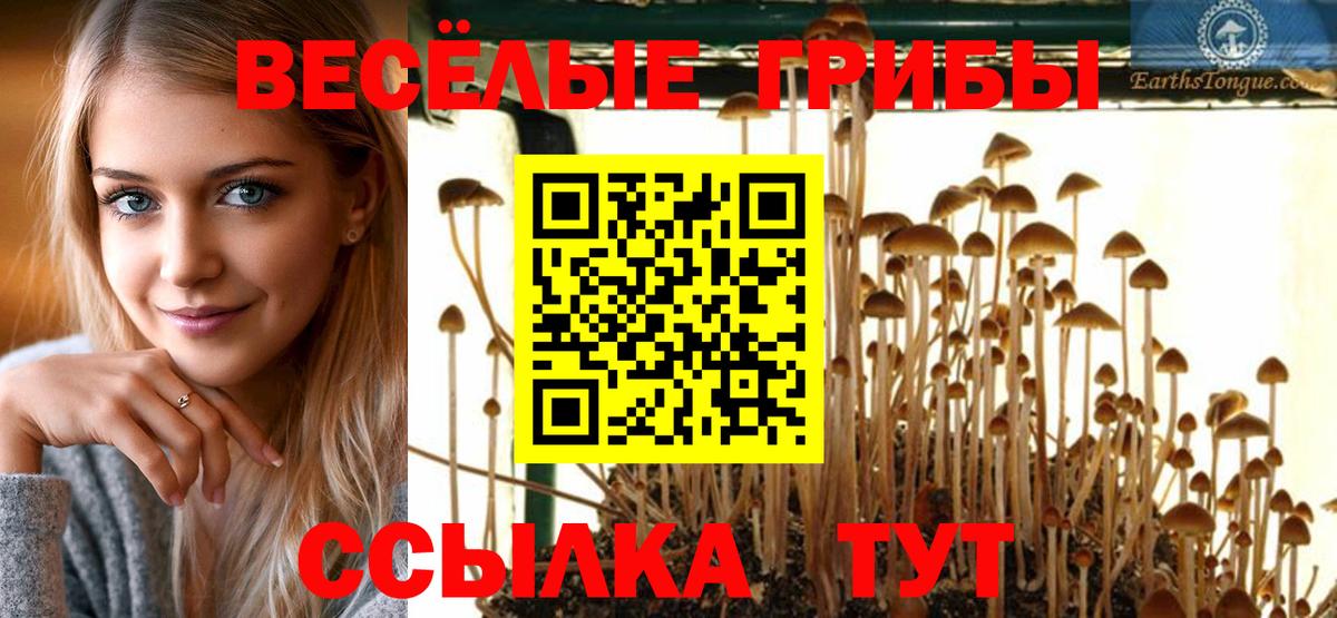 Моздок  Галлюциногенные грибы ЛСД  Вход с VPN  Псилоцибиновые грибы ЛСД 
