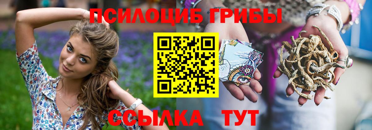 Псилоцибиновые грибы Psilocybine cubensis Моздок